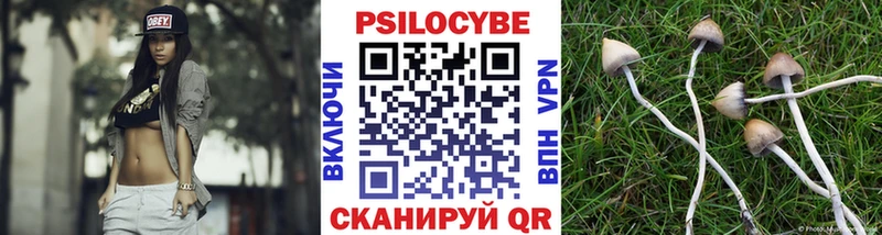 Галлюциногенные грибы GOLDEN TEACHER  купить наркотики сайты  мега вход  Губкинский 