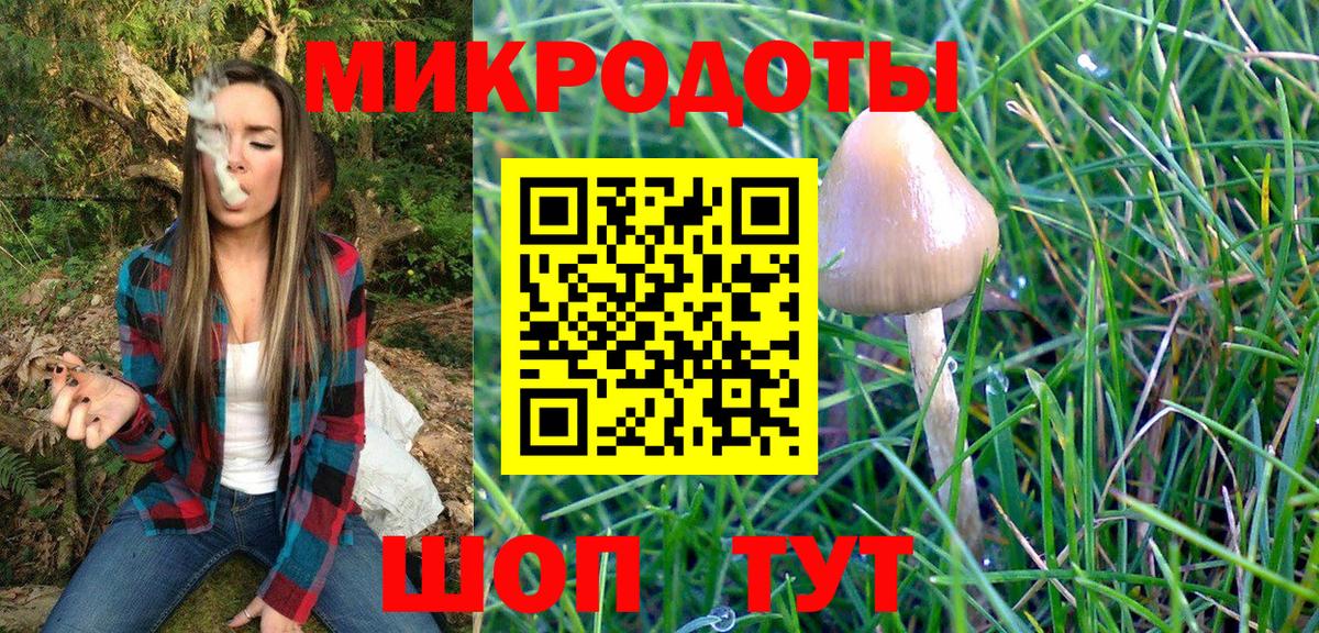 Галлюциногенные грибы Cubensis Губкинский