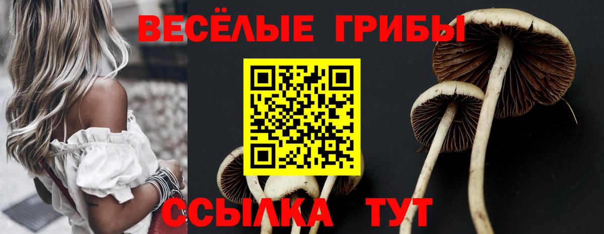 Псилоцибиновые грибы ЛСД  Губкинский  Галлюциногенные грибы мухоморы 